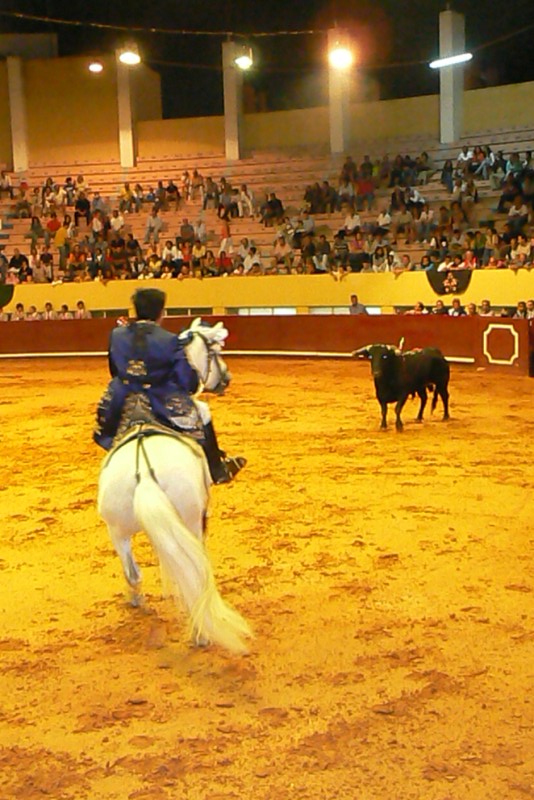 Stierenvechten - Albufeira